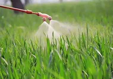Agrochemicals
